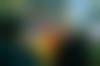 EG_Day_3_28.11.2022-10